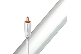 AUDIOQUEST Greyhound Subwoofer Cable - Magnum Sound and Vision