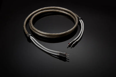 3 Common Mistakes to Avoid When Purchasing Speaker Cables
