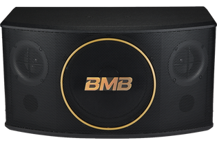 BMB CSJ-10 10" 500W Karaoke Speakers - Pair