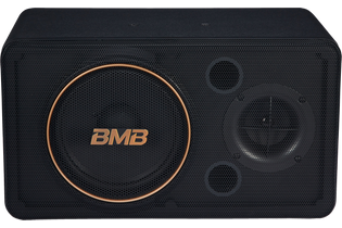 BMB CSJ-08 8" 240W Karaoke Speakers - Pair