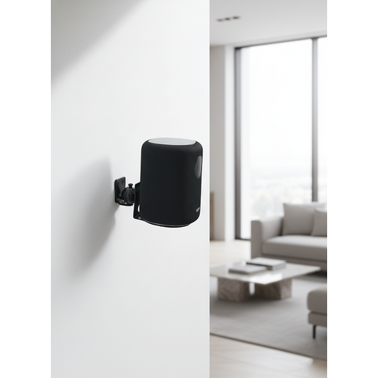 Wiim Sound Wall Mount, Single