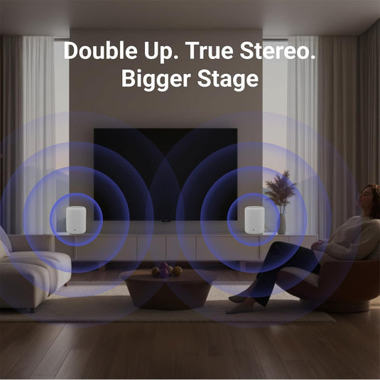 WiiM Sound Lite Smart Speaker