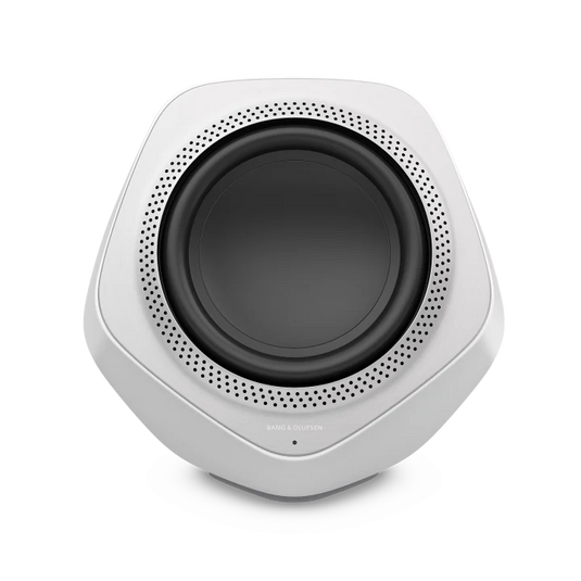 Bang and Olufsen BeoLab 19 - Magnum Sound and Vision