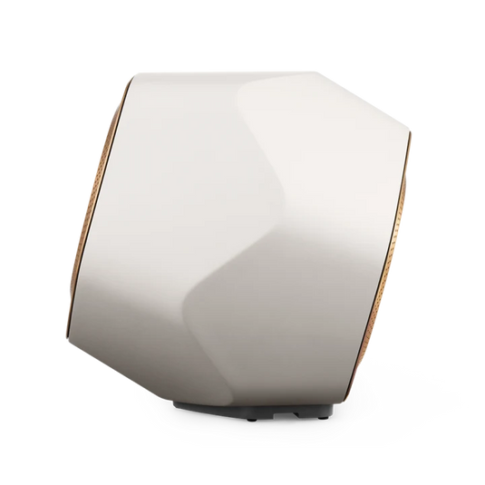 Bang and Olufsen BeoLab 19 - Magnum Sound and Vision