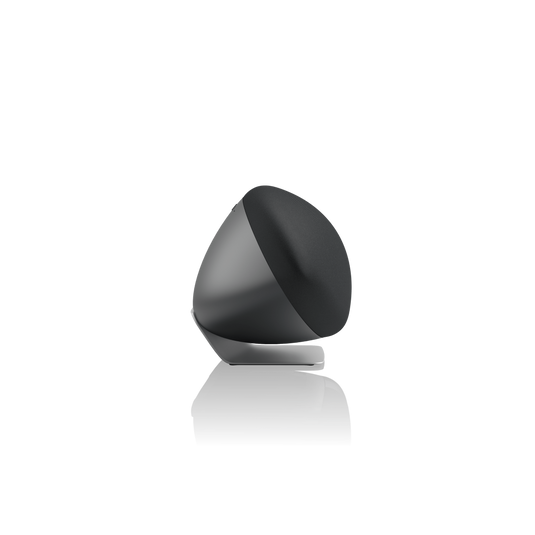 Bowers & Wilkins Zeppelin Pro Edition