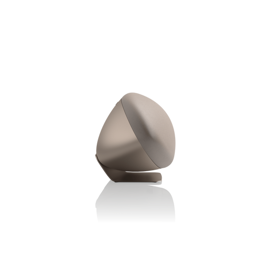 Bowers & Wilkins Zeppelin Pro Edition