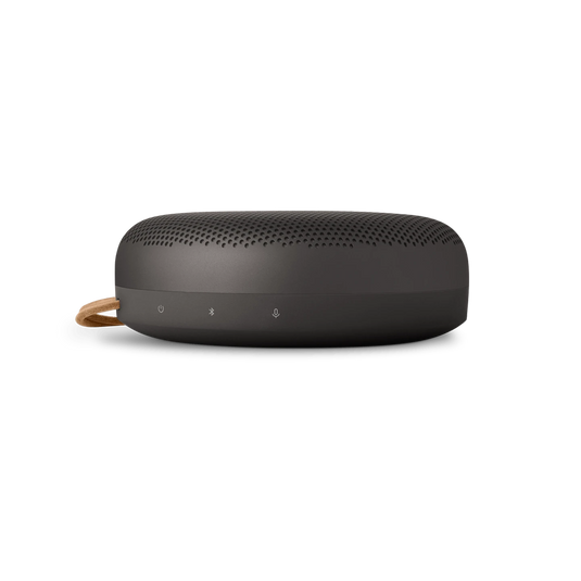 Bang and Olufsen Beosound A1 3rd Gen