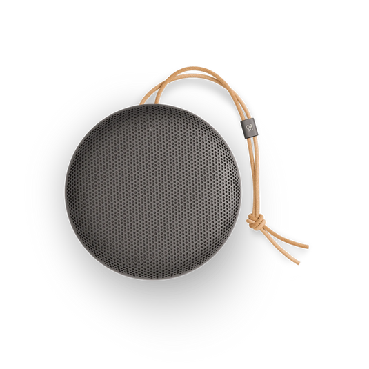 Bang and Olufsen Beosound A1 3rd Gen