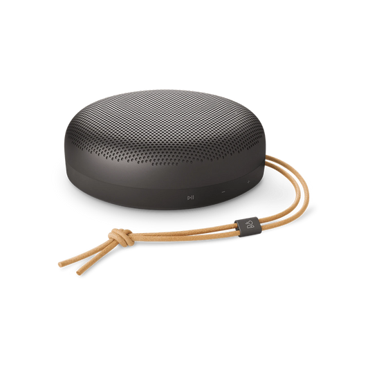 Bang and Olufsen Beosound A1 3rd Gen