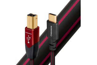 AUDIOQUEST Cinnamon USB-B to USB-C - Magnum Sound and Vision