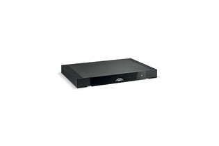 Naim CI-NAP 101 Mono Power Amplifier