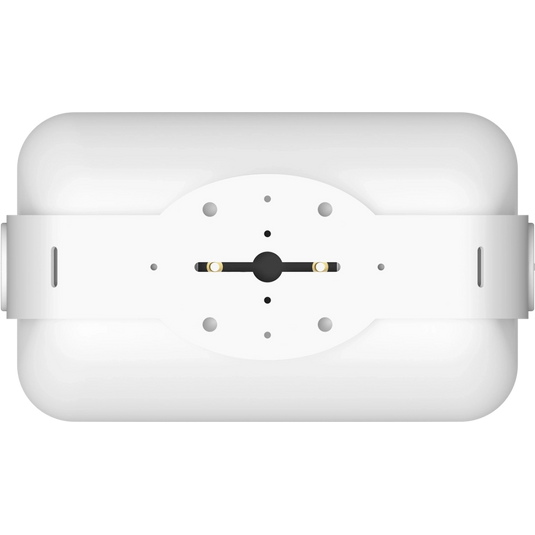 Sonos Outdoor Architecture Speakers - Pair - Magnum Sound and Vision
