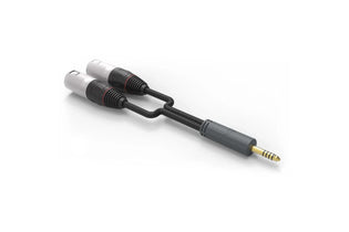 iFi 4.4mm to XLR Cable Standard Edition