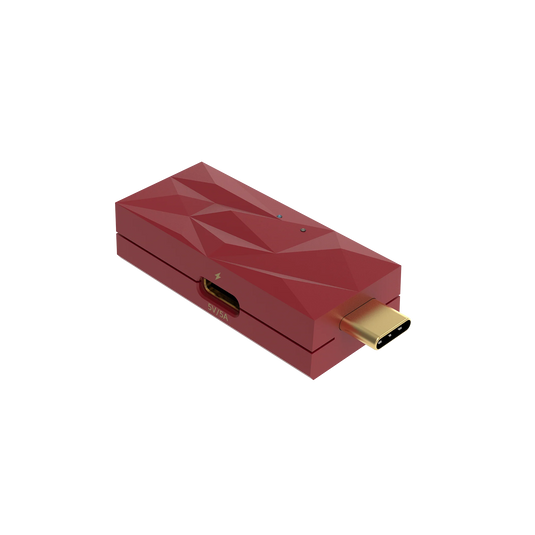iFI iDefender Max USB-C