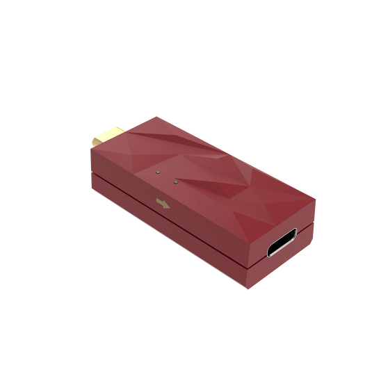 iFI iDefender Max USB-C