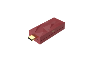 iFI iDefender Max USB-C