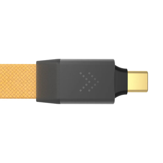 iFi Pulsar USB-C Cable with ANC