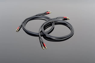 Transparent Audio HARDWIRED Speaker Cable with Banana Plugs