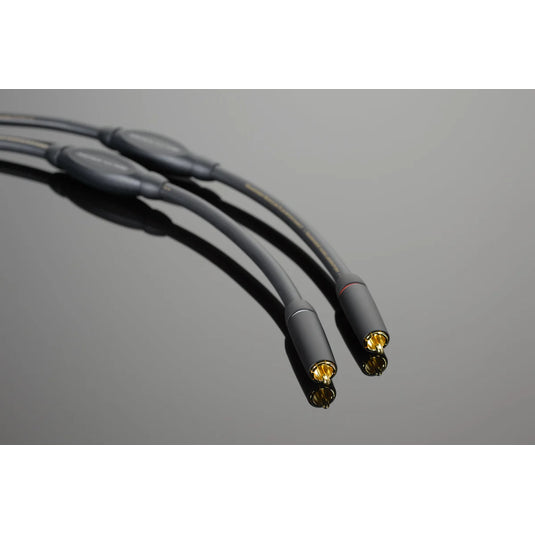Transparent Audio PLUS PHONO Interconnect