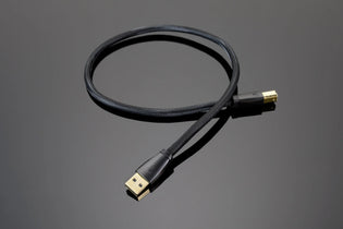Transparent Audio USB Digital Cable 1m