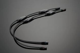 Transparent Audio XL Balanced Interconnect