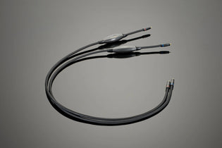 Transparent Audio XL PHONO Interconnect