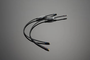 Transparent Audio XL RCA Interconnect